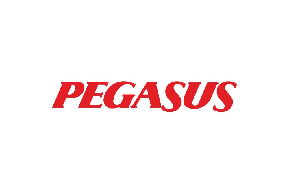 Pegasus